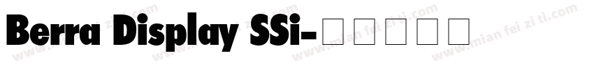 Berra Display SSi字体转换